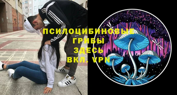 альфа пвп Армянск