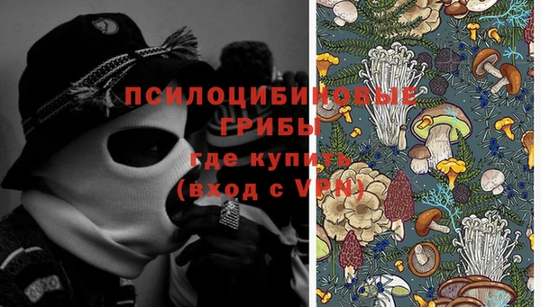 альфа пвп Армянск